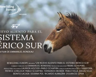 Cortometraje ‘Breathing new life into the Iberian Highlands’ 