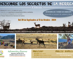 LLega la Berrea al Parque Natural de la Serranía de Cuenca en su X Edición