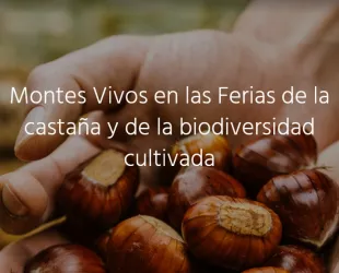 MONTES VIVOS Un proyecto para compatibilizar e integrar la biodiversidad en sistemas forestales para el fomento del desarrollo rural