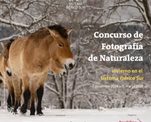 Primera edición del Concurso de Fotografía de Naturaleza ‘Invierno en el Sistema Ibérico Sur’