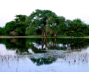 Parque Nacional de Orengo