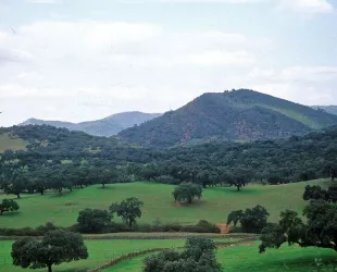 Descubre Sierra de Aracena y Picos de Aroche con actividades ecoturísticas