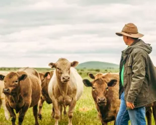 Naciones Unidas lanza Star: herramienta para ayudar a los destinos rurales