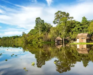 Pueblos indígenas de la Amazonía luchas por evitar la deforestación Pueblos indígenas de la Amazonía luchas por evitar la deforestación