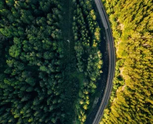 Frenar la deforestación es imprescindible para detener el cambio climático 