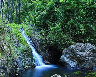 Reserva Natural Especial de Azuaje en Gran Canaria // Crédito: canariarural.com Reserva Natural Especial de Azuaje en Gran Canaria // Crédito: canariarural.com