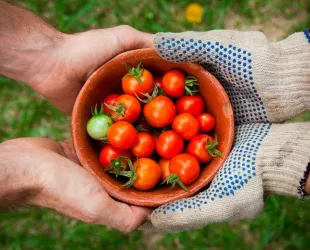 Mejores restaurantes ecológicos España 