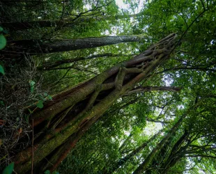 Leyendas sobre espacios naturales de España Leyendas sobre espacios naturales de España