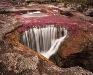 Caño Cristales en La Macarena, Colombia // Crédito: laderasur.com Caño Cristales en La Macarena, Colombia // Crédito: laderasur.com