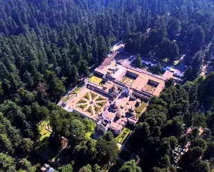 Desierto de los Leones, México // Crédito: twitter Desierto de los Leones, México // Crédito: twitter