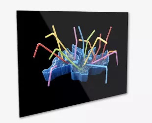 Proyecto artístico dentro de ¡Vamos, Simbiosis! // Crédito: vamossimbiosis.org Proyecto artístico dentro de ¡Vamos, Simbiosis! // Crédito: vamossimbiosis.org