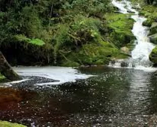 Reservas naturales de Colombia para visitar en Navidad