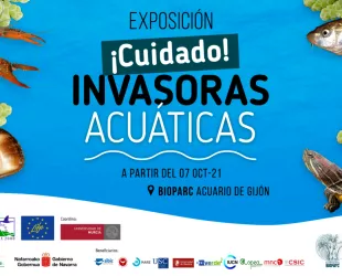 Cuidado, Invasoras Acuáticas //  Crédito: migijon Cuidado, Invasoras Acuáticas //  Crédito: migijon