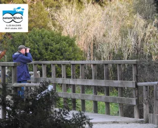 NatureWatch Islas Baleares 2021  NatureWatch Islas Baleares 2021