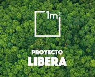 Proyecto Libera