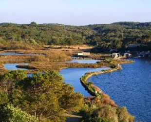Reserva Biosfera Menorca / Crédito: biosferamenorca.org 