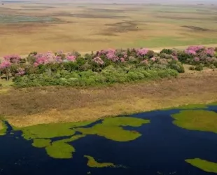 Parque Nacional Iberá, Argentina