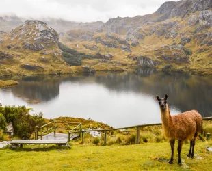 Parque Nacional Cajas, Ecuador // Crédito:wikipedia