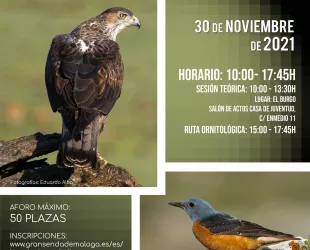 Cartel Taller sobre turismo ornitológico en la Sierra de las Nieves  Cartel Taller sobre turismo ornitológico en la Sierra de las Nieves