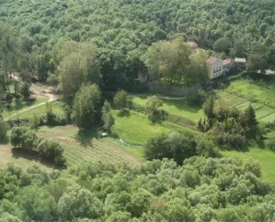 Cataluña crea un  Observatorio de la Biodiversidad 