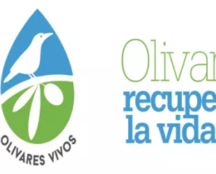Logo LIFE Olivares Vivos+ // Crédito: olivaresvivos Logo LIFE Olivares Vivos+ // Crédito: olivaresvivos