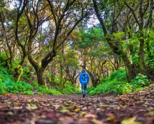 El 95% de los españoles demandan ecoturismo para sus viajes  