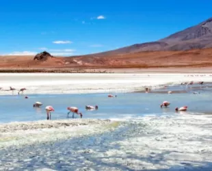 Salar de Atacama en Chile // Crédito: civitatis Salar de Atacama en Chile // Crédito: civitatis