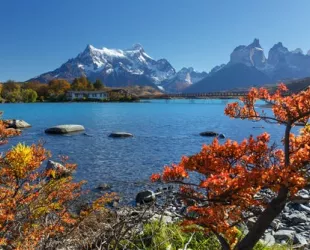Los Lagos, región del sur de Chile // Crédito: miviaje Los Lagos, región del sur de Chile // Crédito: miviaje