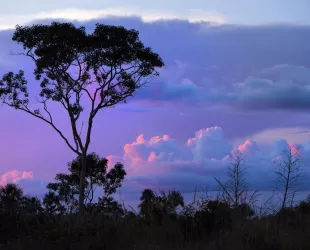 Parque Nacional Bahuaja Sonene // Crédito: es.mongabay
