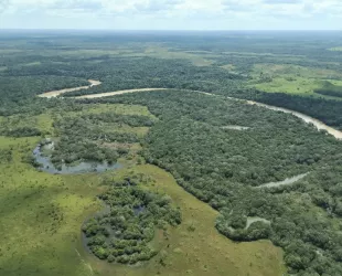 Parque Nacional Natural Serranía del Manacacías // Crédito: rcnradio