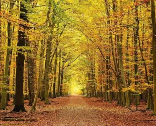 Destino Ambroz-Cáparra en otoño 