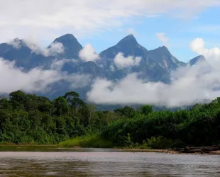Parque Nacional Cordillera Azul, Perú // Crédito: reddit Parque Nacional Cordillera Azul, Perú // Crédito: reddit