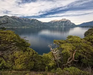 Bosques Patagónicos Argentina // Crédito: buzzfeed