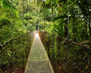 Crédito: Turismo Monteverde 