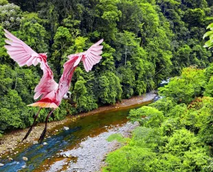 Costa Rica, cuna del ecoturismo
