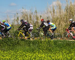 Activa Canarias apuesta por las buenas prácticas del ciclismo en la naturaleza