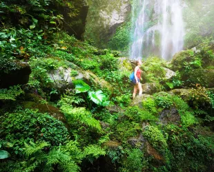  Mejores actividades para practicar ecoturismo esta primavera 2022  
